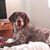 Ioana Tice's profile image