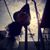 Fernanda Flowers's profile image