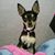 Tina Marie's profile image