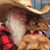 Michael J Brown's profile image