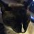 John Gratton's profile image