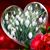 Cora McGarth's profile image