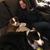 Kelley Jeppson Tackel's profile image