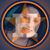 Rachael Lykins's profile image