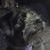 Linda Mize's profile image