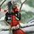 Judy Carson Clements's profile image