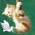 Valerie Baty-Terlizzi's profile image