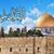 محمود عبد الراضي's profile image