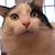 Pamela Drinkwine's profile image