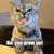 Maria Quiroz's profile image