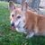 Lisa Pirock's profile image