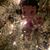 Rachel Holt Clift's profile image