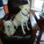 Linda Love's profile image