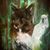 Jessica Trask's profile image