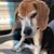 Caren Beth's profile image