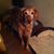Linda Lane's profile image