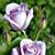 Kathy Bonogofski's profile image