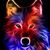 Connor Sandahl's profile image