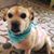 Mary Espinoza's profile image