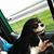 Melody Holbrook's profile image