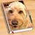 Macaria Solache's profile image