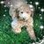 Ruthann Finnen's profile image