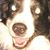 Kenneth R Hottes's profile image