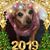 Kim Kelley Wheeler's profile image