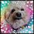 Barbara Patrick's profile image