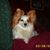 Sharon Calabrese Forsberg's profile image