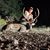 Buffy Mauldin's profile image