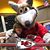 Kim Roades-Richardson's profile image