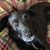 Penelope Frigon's profile image
