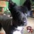 Tina Marie Newell Henning's profile image