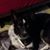 Sherry Relaford's profile image