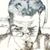 Scott Seegars's profile image
