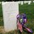 Terri Washam's profile image