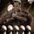 Christianna Centeio's profile image