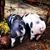 Robert E. Barry's profile image