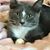 Jana Budoff Maynard's profile image