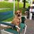 Maresa Campbell-Huber's profile image