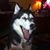 Tony Klena's profile image