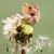 Carole Cherry's profile image