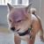 Jun Cruz's profile image