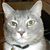 Doreen Gesslein's profile image