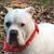 Judy Lyons Jacot's profile image
