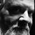 Saul Fineman's profile image