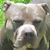 Kim'Steve Mascis's profile image