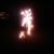Donna Stockdale's profile image