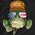 Dave Levering's profile image